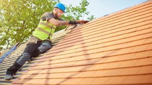 Best Roof Moss and Algae Removal  in Arnold, CA
