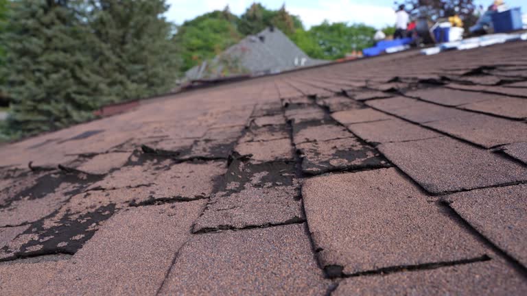 Best Roof Inspection  in Arnold, CA