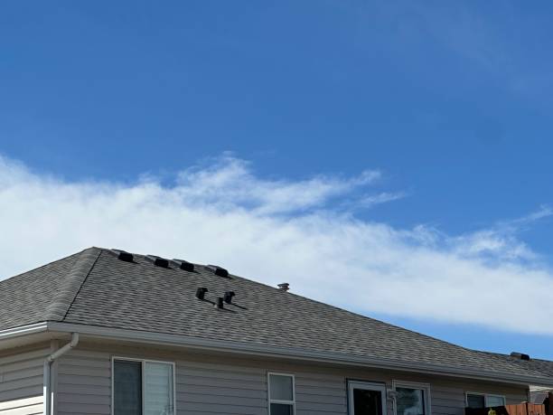 Best Solar Panel Roofing Installation  in Arnold, CA